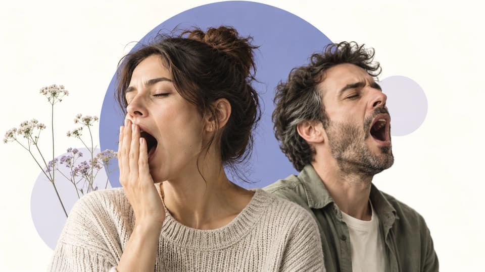 Dos personas adultas bostezando en una composición editorial morada
